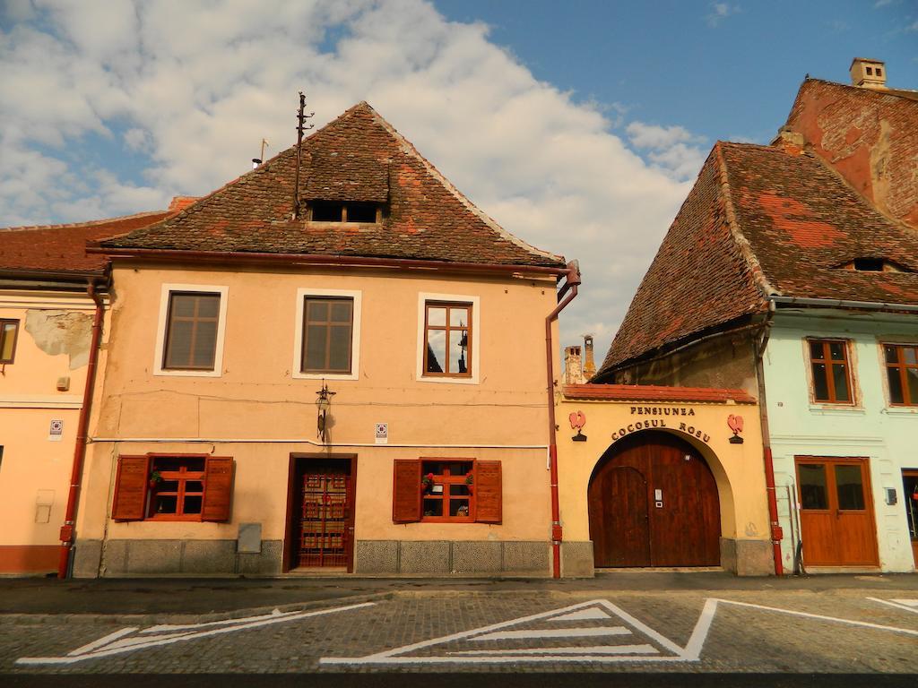 Pensiunea Cocosul Rosu Сибиу Экстерьер фото