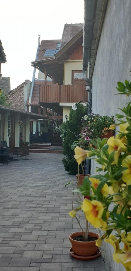 Pensiunea Cocosul Rosu Сибиу Экстерьер фото